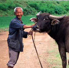 小型飼料顆粒機(jī),農(nóng)民圓夢(mèng)！